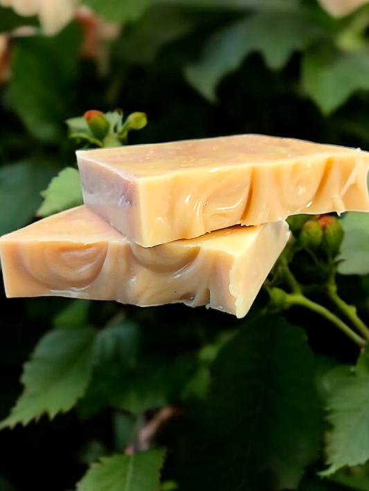 Nectar Hibiscus Soap